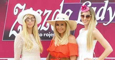 Dogodek: Lady piknik (slika)