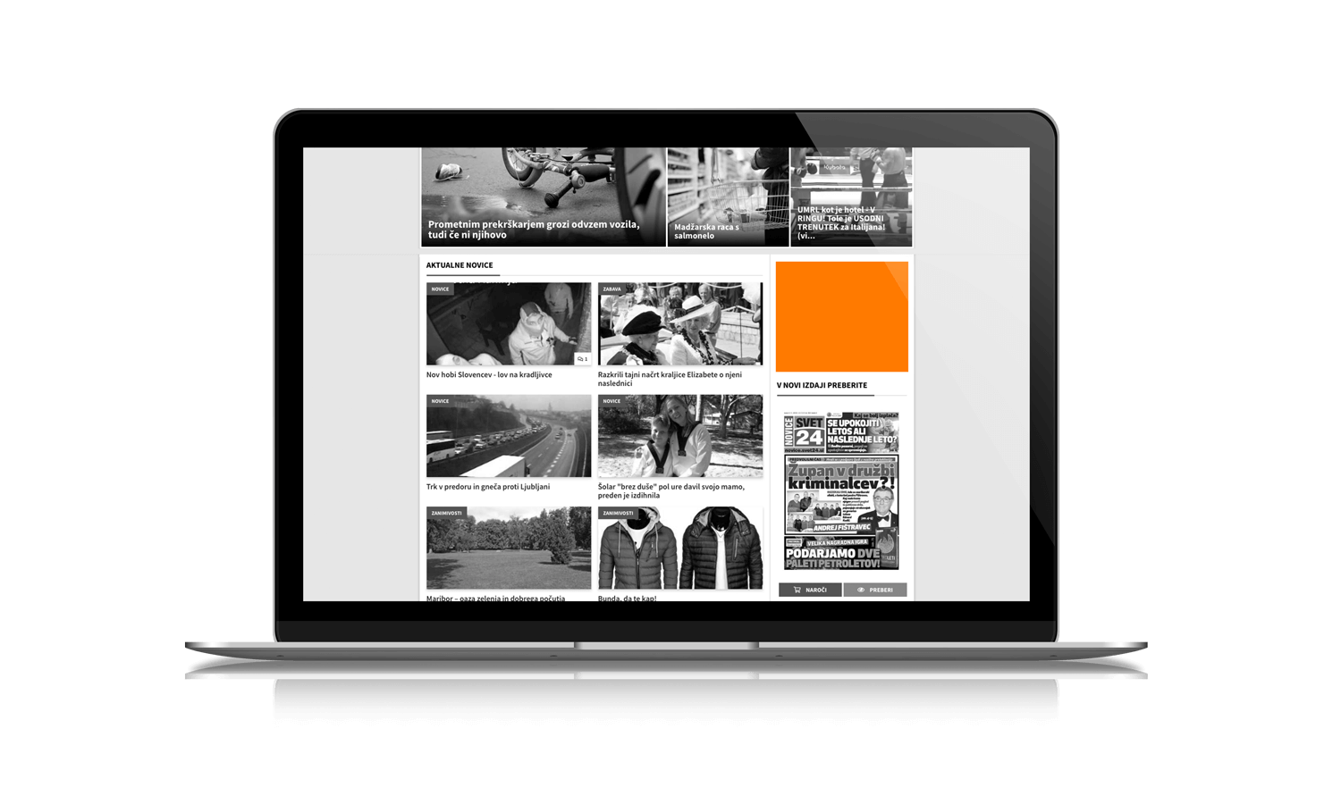 Preview image for Pasica 300 x 250