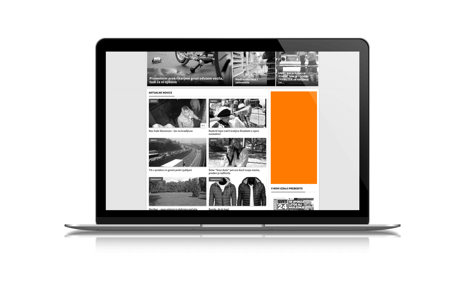 Preview image for Pasica 300 x 600